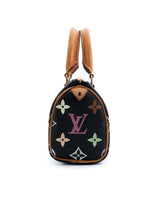 Louis Vuitton X Takashi Murakami Monogram Nano Speedy