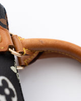 Louis Vuitton X Takashi Murakami Monogram Nano Speedy