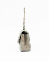 Chanel Python Snakeskin Mini Classic Flap Bag