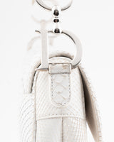 Dior Python Saddle Bag