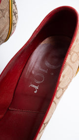 Dior Monogram Rasta Heels