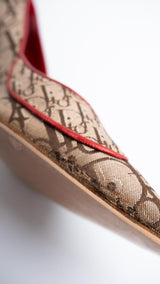 Dior Monogram Rasta Heels