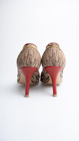 Dior Monogram Rasta Heels