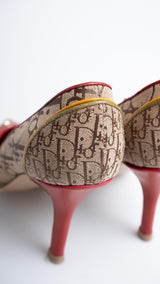 Dior Monogram Rasta Heels
