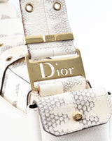 Dior Street Chic Columbus Bag