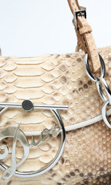 Dior Python Diva Bag