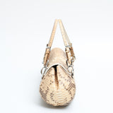 Dior Python Diva Bag