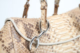 Dior Python Diva Bag