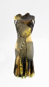 Roberto Cavalli Zebra Print Dress