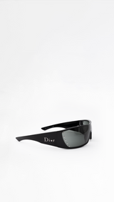 Dior Stelle/n Sunglasses