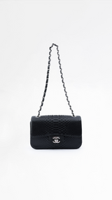 Chanel Python Leather Mini Classic Flap Bag