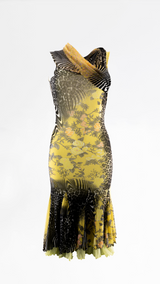 Roberto Cavalli Zebra Print Dress