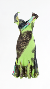 Roberto Cavalli Animal Print Dress