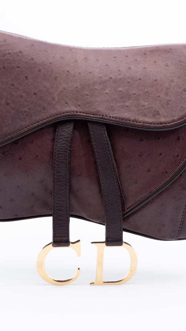 Dior Double Saddle Bag