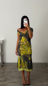 Roberto Cavalli Zebra Print Dress