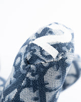 Dior Monogram Teddy Bear