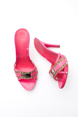 Dior Monogram Heels