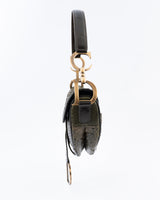 Dior Python Saddle Bag