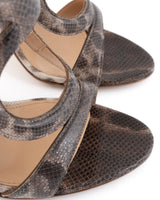 Sergio Rossi Snake Arabesque Gladiator Heels