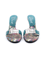 Dior Tattoo Heels