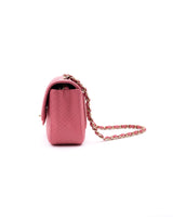 Chanel Python Mini Classic Flap Bag