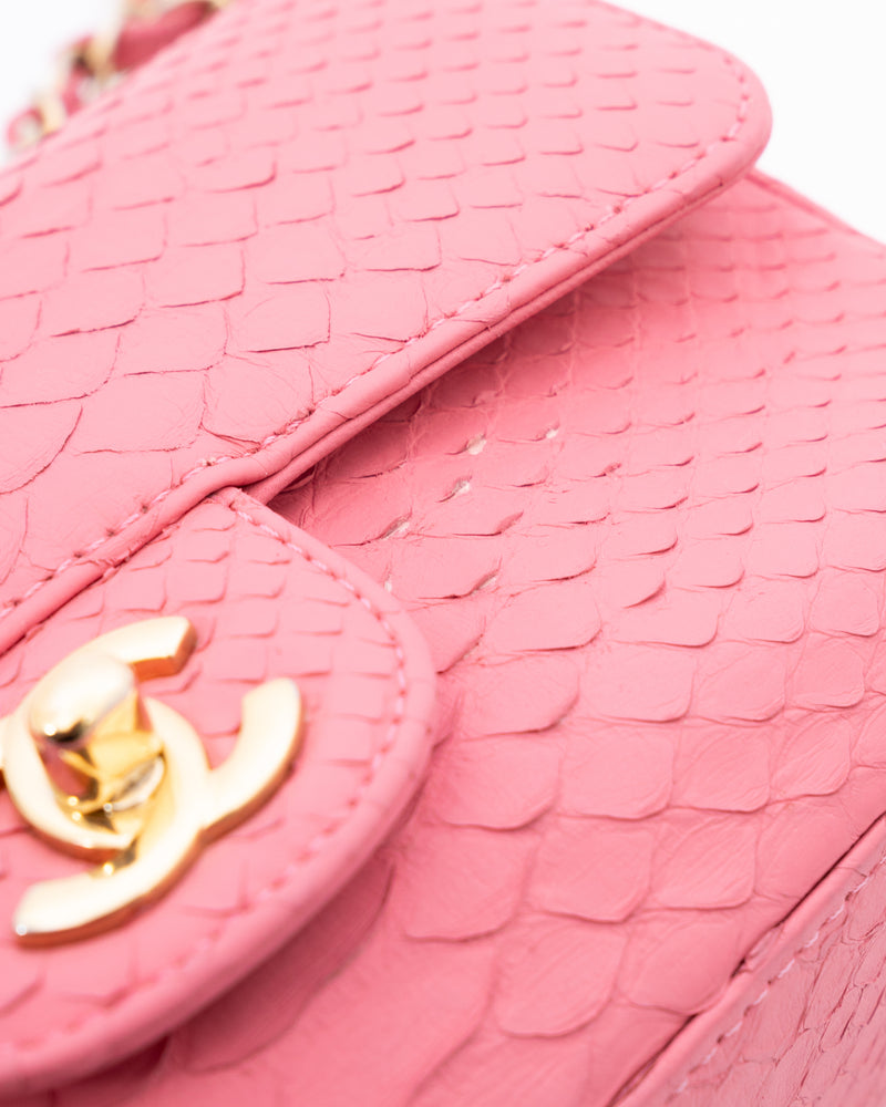 Chanel Python Mini Classic Flap Bag