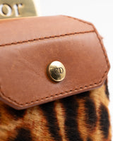 Dior Pony Hair Street Chic Columbus Bag