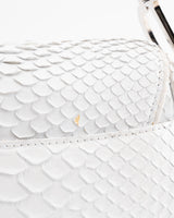 Dior Python Saddle Bag
