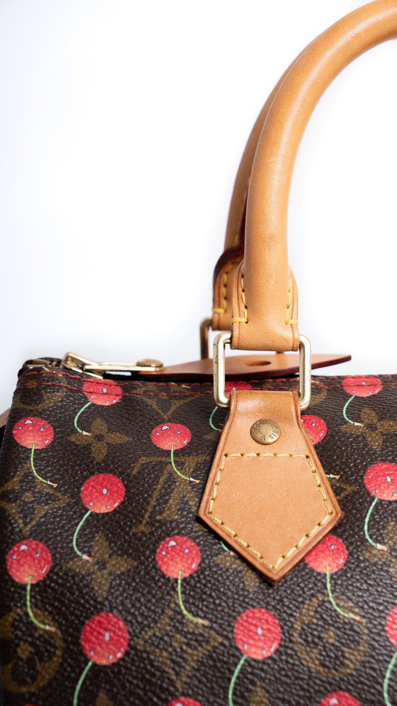 Louis Vuitton Monogram Speedy 25 Cherry