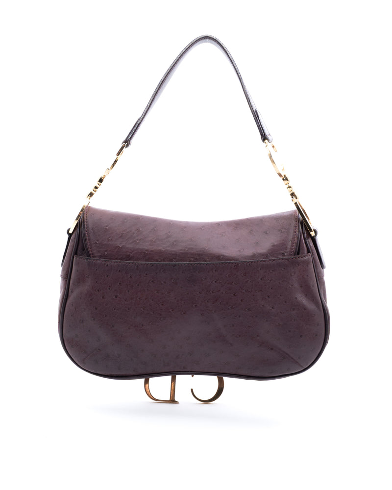 Dior Double Saddle Bag