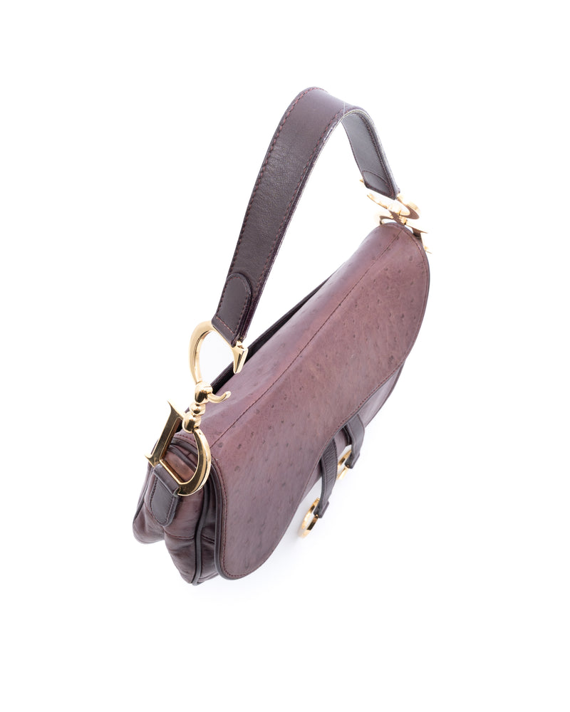Dior Double Saddle Bag