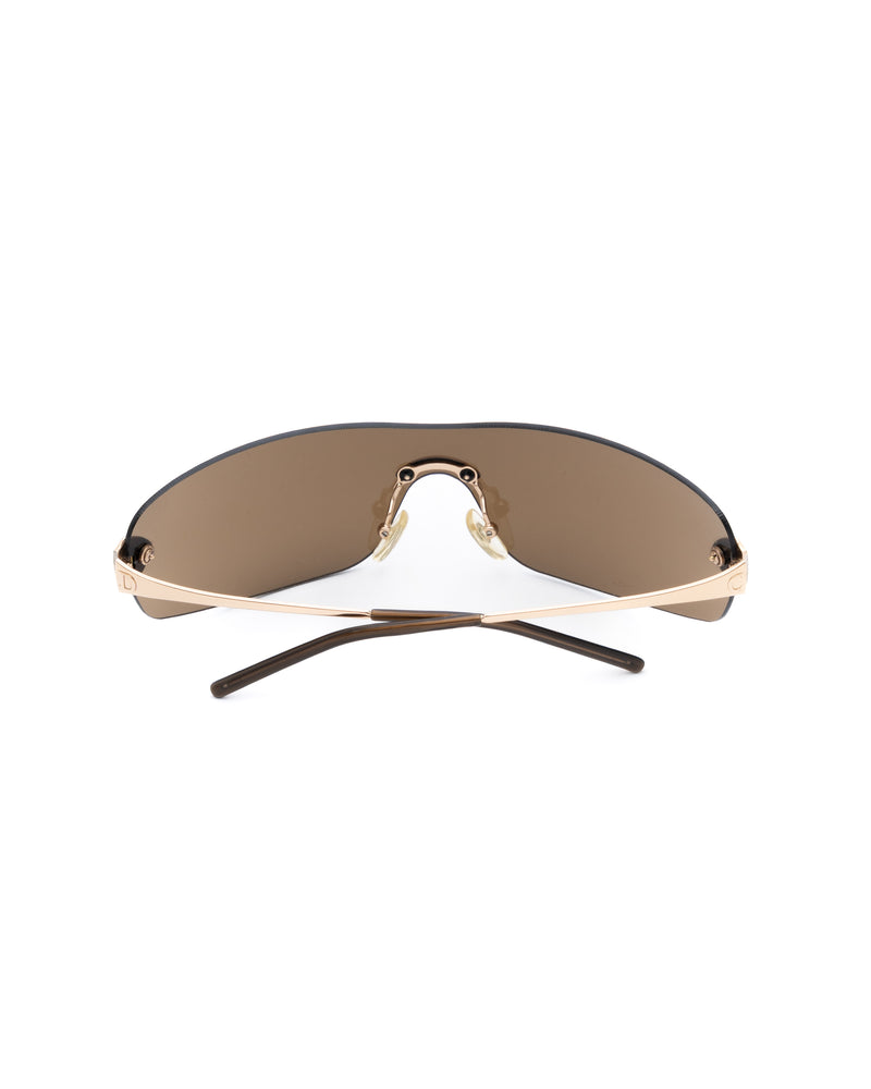 Dior Absolute Sunglasses