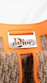 Dior Monogram Street Chic Shoulder Bag