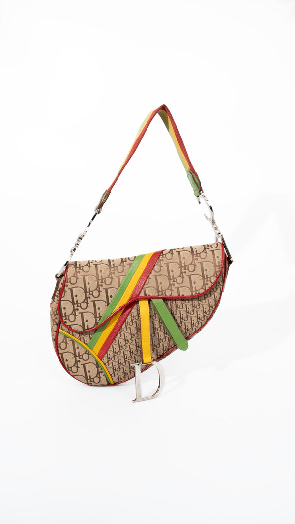 Dior Monogram Rasta Saddle Bag