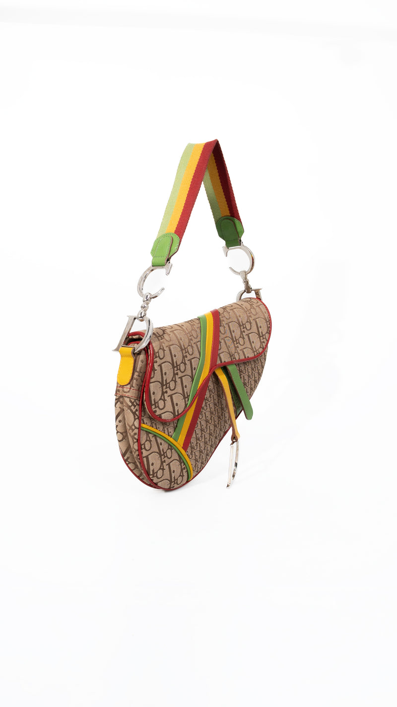 Dior Monogram Rasta Saddle Bag