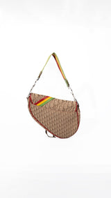 Dior Monogram Rasta Saddle Bag