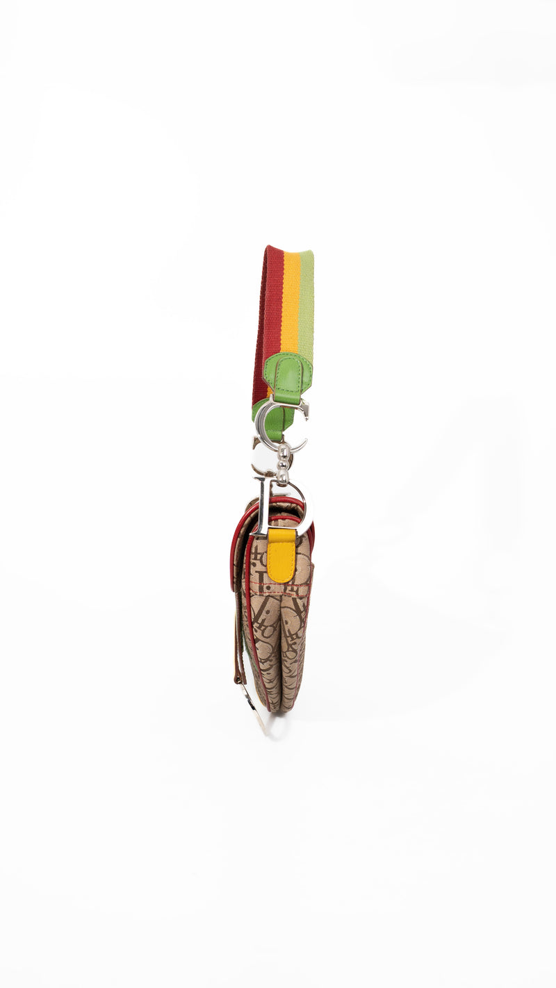 Dior Monogram Rasta Saddle Bag