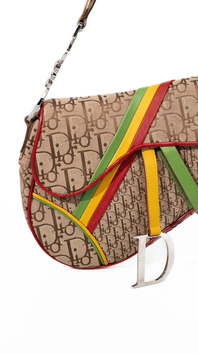 Dior Monogram Rasta Saddle Bag