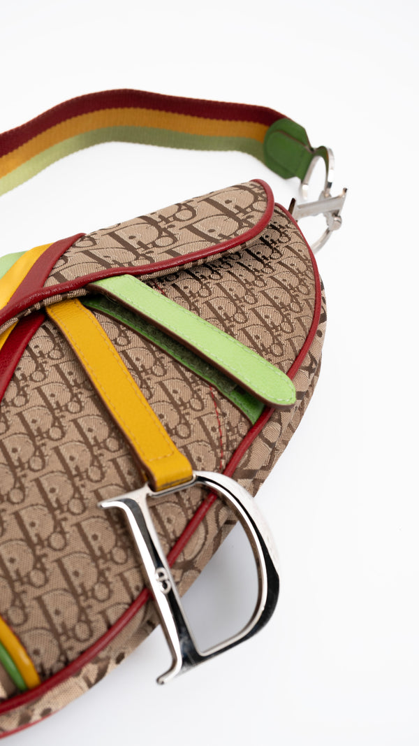 Dior Monogram Rasta Saddle Bag