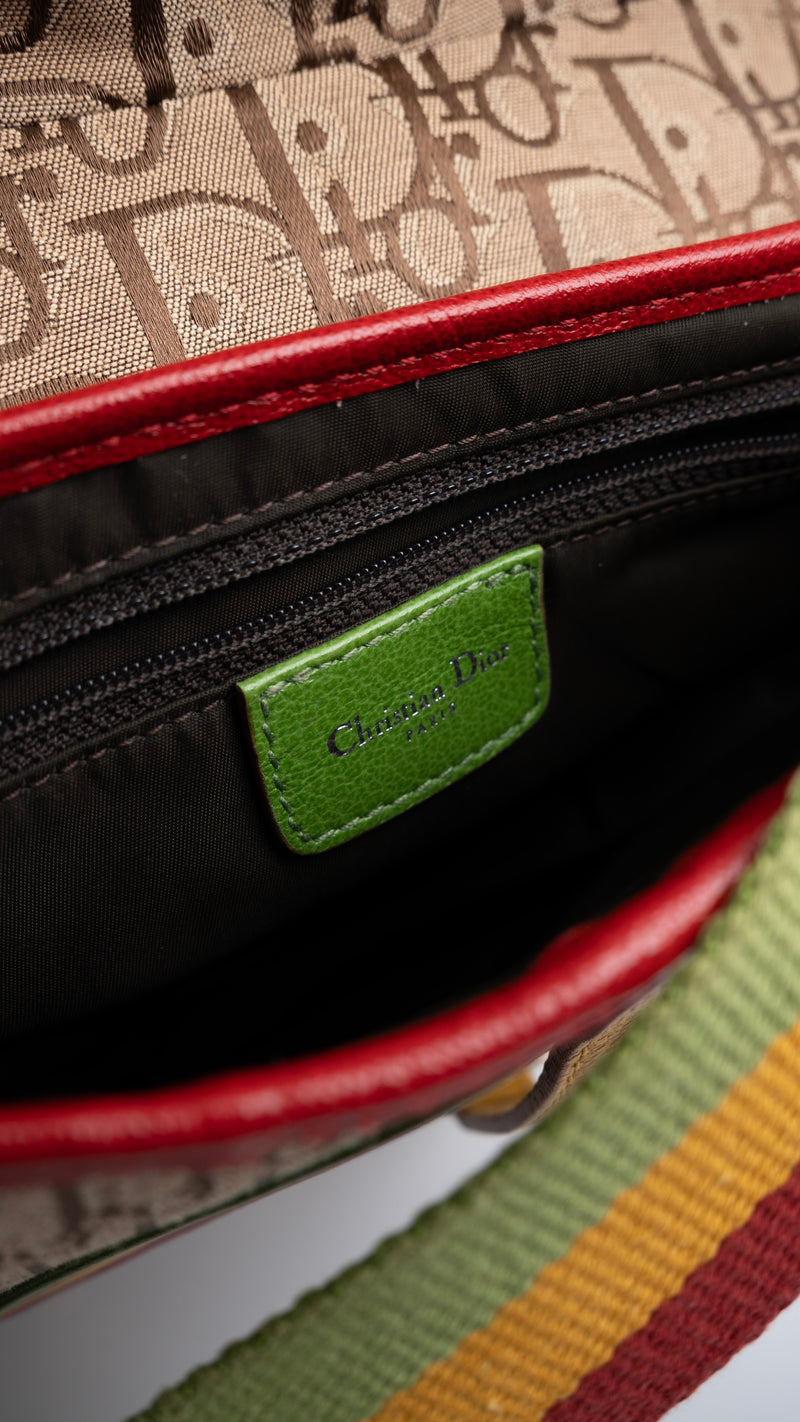 Dior Monogram Rasta Saddle Bag