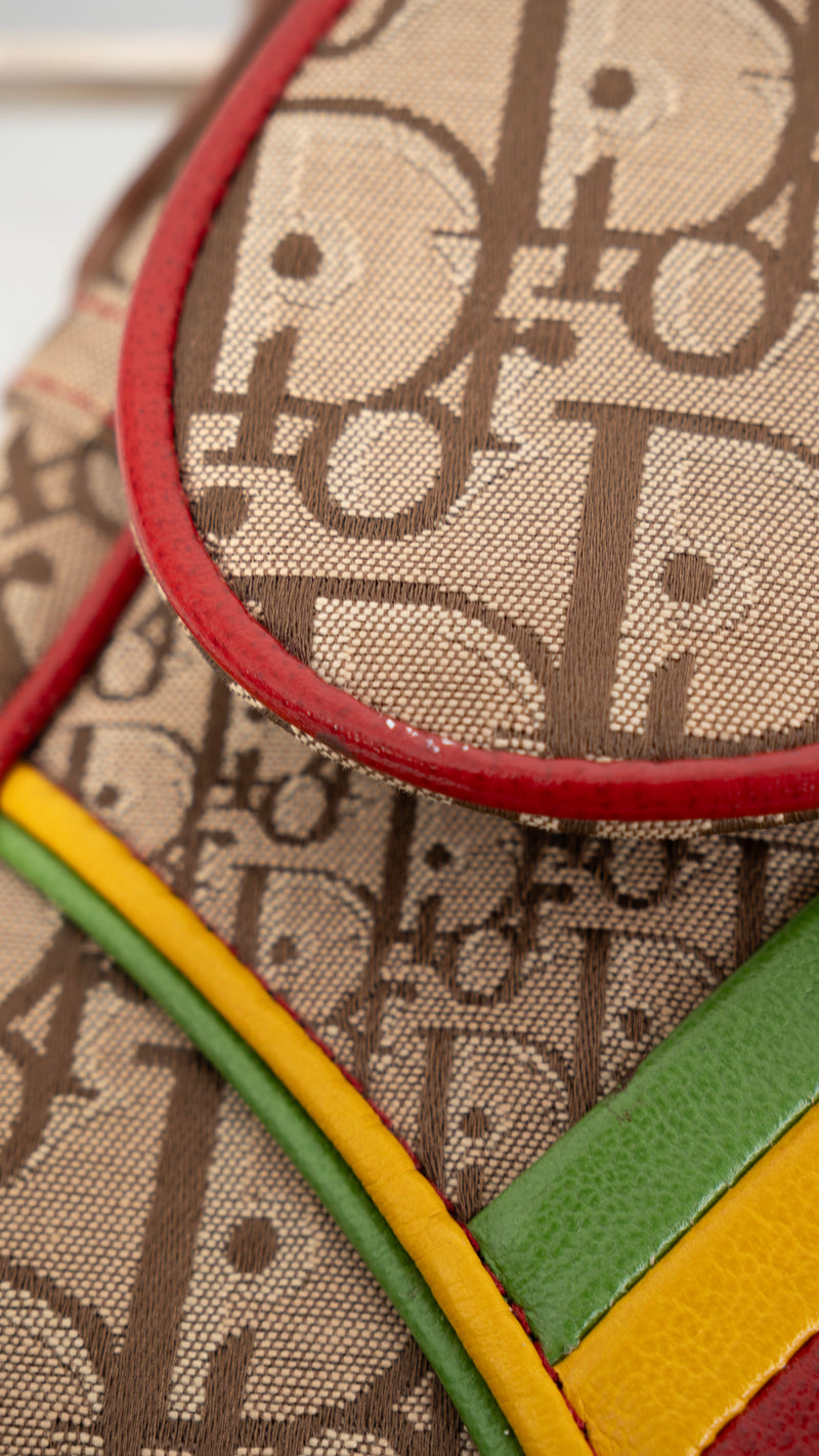 Dior Monogram Rasta Saddle Bag