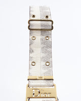Dior Street Chic Columbus Bag