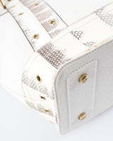 Dior Street Chic Tote Bag