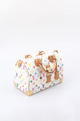 Louis Vuitton Multicolour Speedy 30