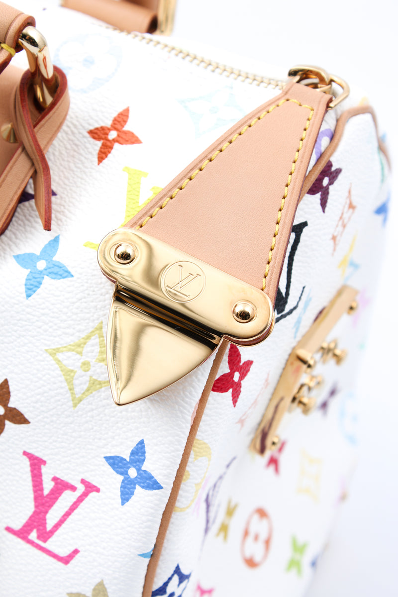 Louis Vuitton Multicolour Speedy 30