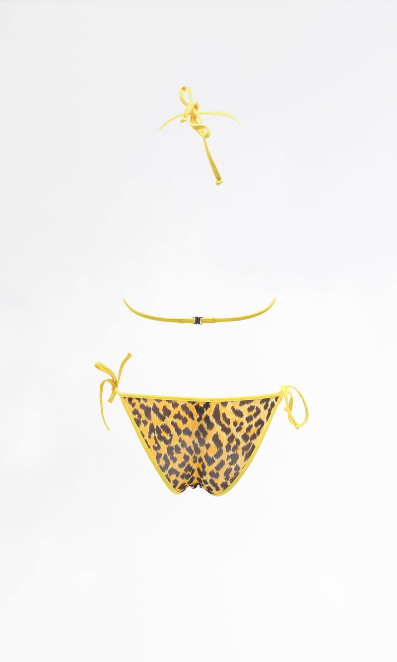 Dolce & Gabbana Bikini
