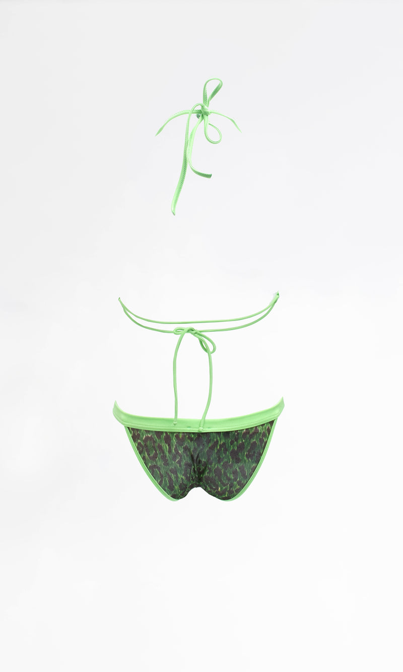 Dolce & Gabbana Bikini