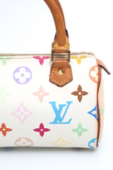 Louis Vuitton Multicolour Nano Speedy