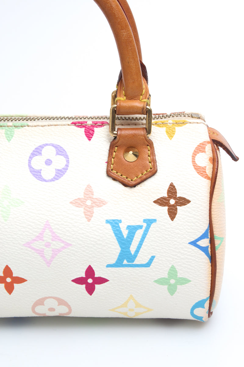Louis Vuitton Multicolour Nano Speedy