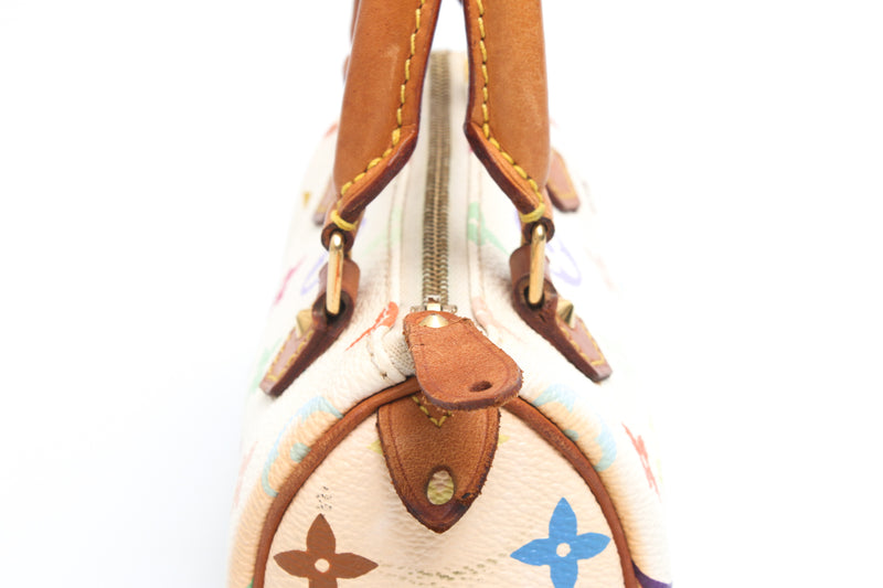 Louis Vuitton Multicolour Nano Speedy